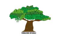 Pierantonio Polloni (Montebelluna) logo