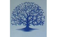 Laura Di Nardo (Ortona) logo