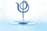 Irene Rinaldi (Padova) logo