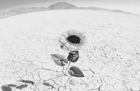 Fedeica Saccomanno (Messina) logo