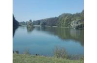 Elena Maria Pianezzola (Bassano Del Grappa) logo