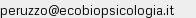 Indirizzo email
